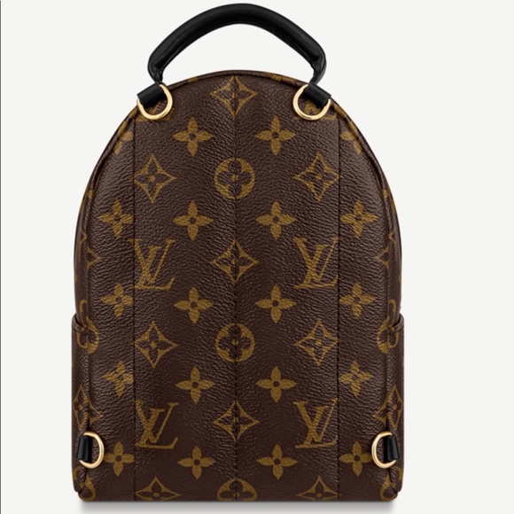 LOUIS VUITTON PALM SPRINGS MINI main image 5